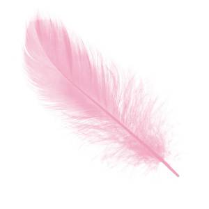 Набор перьев (нежно-розовые) 14-17см 100шт./190156
