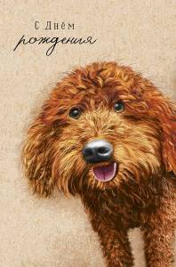 Открытка "А-Д" 0167.260