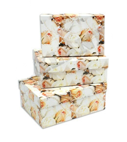 Коробка 21*8*14,5 см. ПП-0670