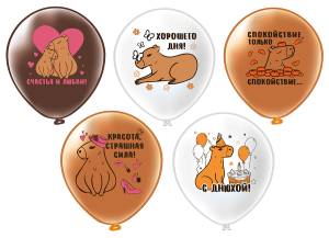 12" СДР Капибара! 5 дизайнов 2 цв. 25 шт (Тайланд) / ч55189