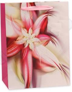 Пакет подарочный XL DREAM CARDS