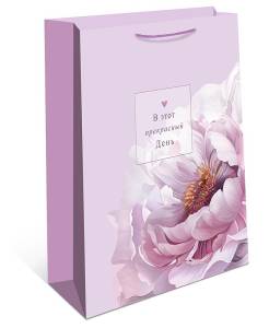 Пакет подарочный 18*22,3*10 см. / 0192.978