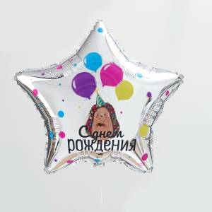 18" С Днем рождения, Ежик / Китай 6932471