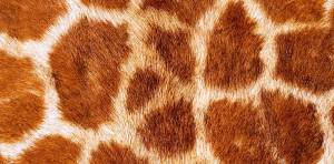 Открытка "А-Д" 0318.680