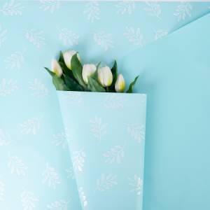 Пленка матовая "Веточки" нежный аквамарин 57 см*10 м. / УТ-88053015