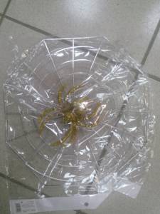 Паутина с пауком 327756,301901