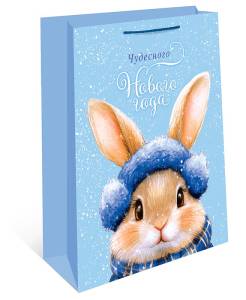 Пакет подарочный 26*32*12 см./ 0193.554