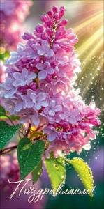 Конверт "Праздник" 5.0002419