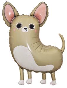 35" Чихуахуа / Китай 24168