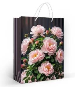 Пакет подарочный (МL) 31*22 см/ 15.25.02563