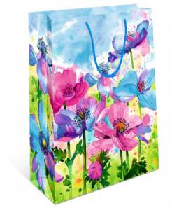 Пакет подарочный 15*12*7 см/ 0291.563