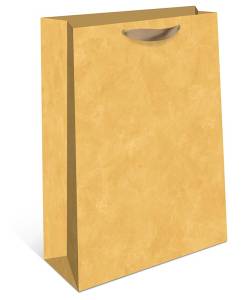 Пакет подарочный 18*22,3*10 см. / 2312.172