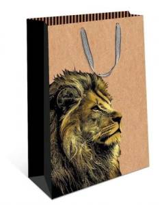 Пакет подарочный 26*32*12 см. / 0396.521