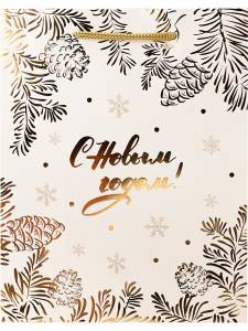 Пакет подарочный М/ПКП-6643 18*23*10 см 