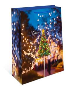 Пакет подарочный 18*22,3*10 см. / 0192.586