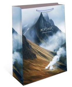 Пакет подарочный 33*42,5*10 см./ 0195.772