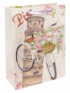 Пакет подарочный М/ПКП-3412 18*24*8,5 см с мат ламинированием