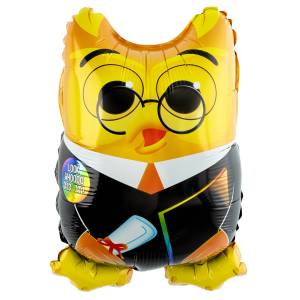 МИНИ Сова Выпускник / 24585