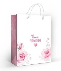 Пакет подарочный (М) 23*18 см / 10000207