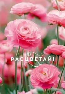 Бирка "Открытая планета" 9.0000666