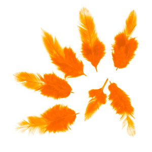 Набор перьев (оранжевые) 50 шт./6014775