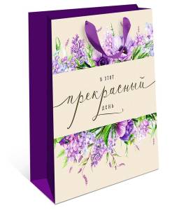 Пакет подарочный 26*32*12см./ 1310.704ш