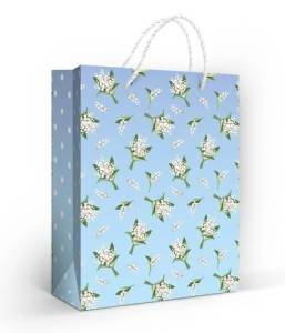 Пакет подарочный (М) 22,7*18 см/ 15.11.02680