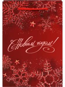 Пакет подарочный MS/ПКП-6635 14*20*6,5 см 