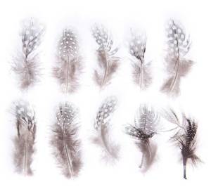 Набор перьев (коричневый с белым) 10 шт. 1250975