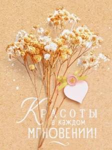 Бирка "Открытая планета" 9.0000823