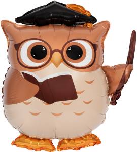 25" Сова Выпускник / Китай 27618