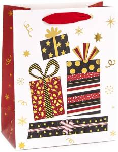 Пакет "Яркие подарки" Белый 23*18*10/2533M