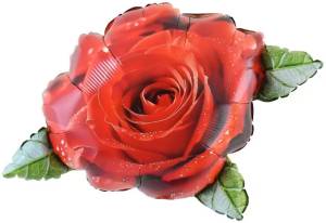 27" Роза красная / Китай 27764