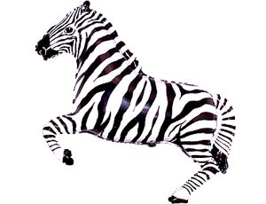 Зебра / Flexmetal