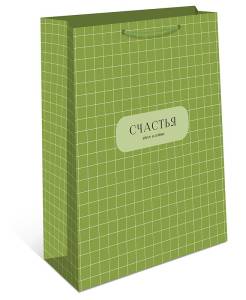 Пакет подарочный 18*22,3*10 см. / 0192.856