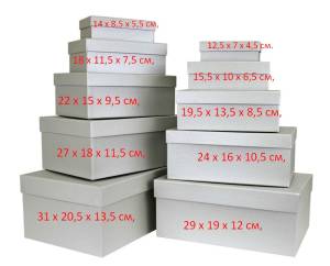 Коробка 24*16*10,5 см Серебро, металл / Пин10-Сер