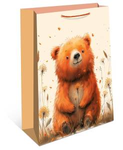 Пакет подарочный 11,5*14,5*6,5 см. / 1191.013