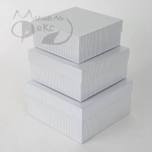 Коробка 23*23*12 см Серебряные линии / 31049