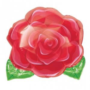 Роза большая                            