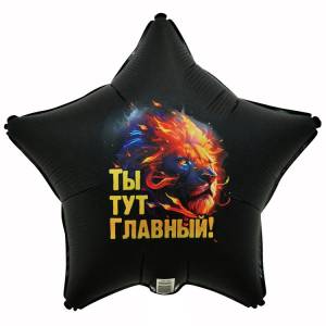 18" Ты тут главный, лев (Китай)/1202-4034