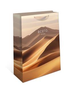 Пакет подарочный 26*32*12 см. / 1595.201