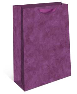 Пакет подарочный 23*26*12 см. / 2310.168