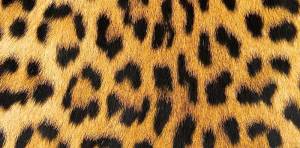 Открытка "А-Д" 0318.684