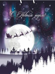 Пакет подарочный L/ПКП-6679 26*32*10 см 