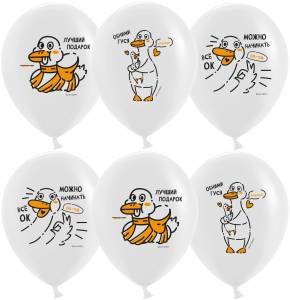 12" Гусь Обнимусь, белый пастель (Китай)/ 25 шт 612908