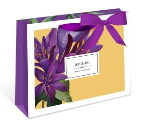 Пакет подарочный 29*36*14 см. / 0557.221