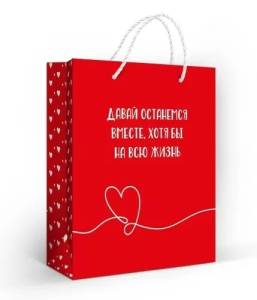 Пакет подарочный (М) 23*18 см / 10000198