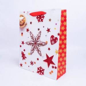 Пакет подарочный 26*32*10 см /88004400/RQ-668-4