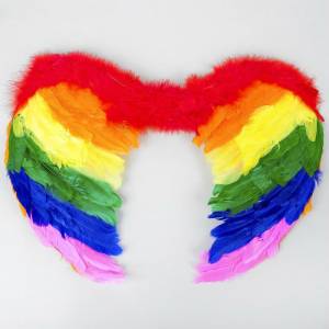 Крылья ангела 45*60