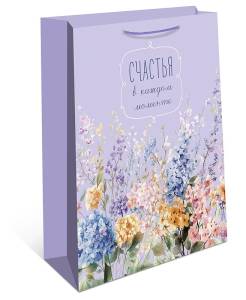 Пакет подарочный 18*22,3*10 см. / 0192.976